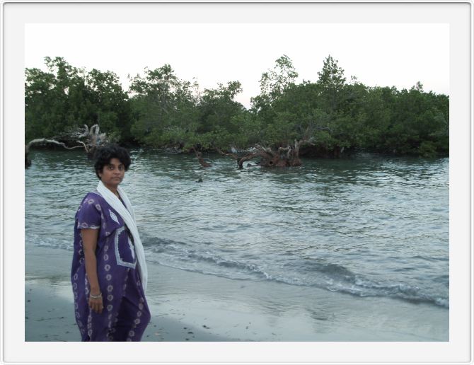 Mangroves