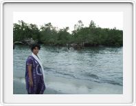 Mangroves