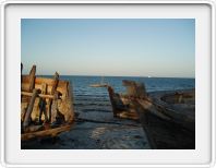 Bagamoyo Boats