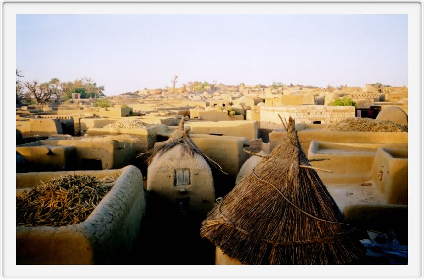 Rooftops Sangha