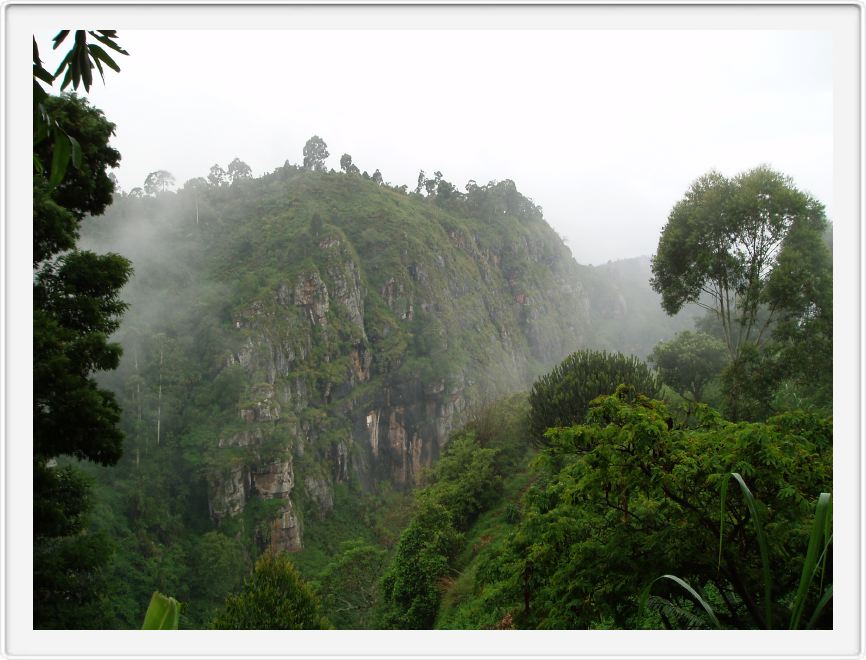 Sheer, mist drenched, verdant hills