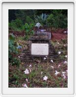 Old German graveyard