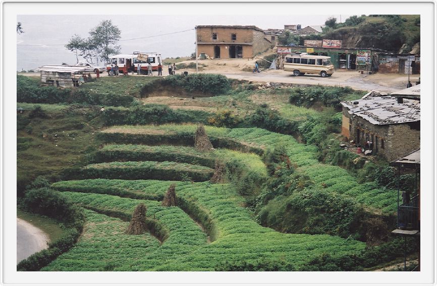 terraced farming in Nagarkot, a hill station