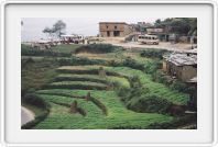 terraced farming in Nagarkot, a hill station