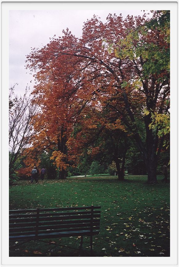 Experimental Farm, Ottawa