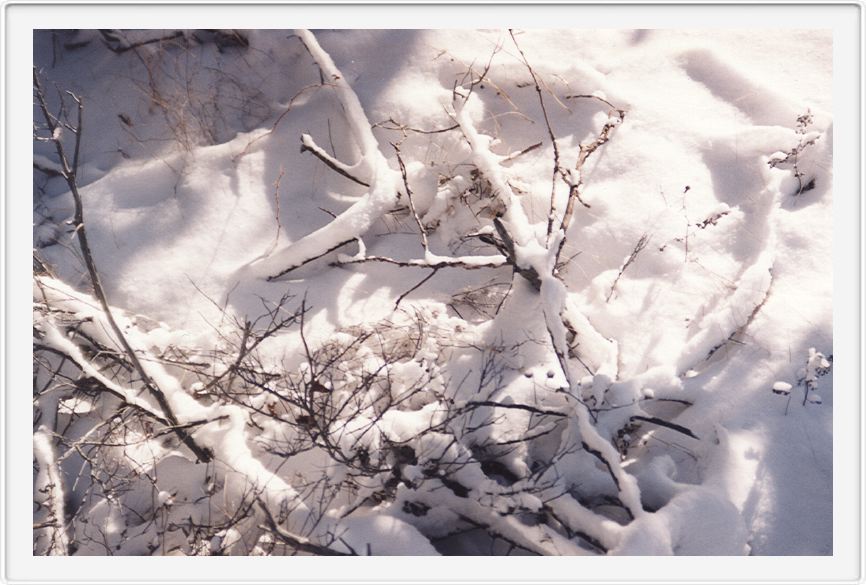 Winter in the countryside