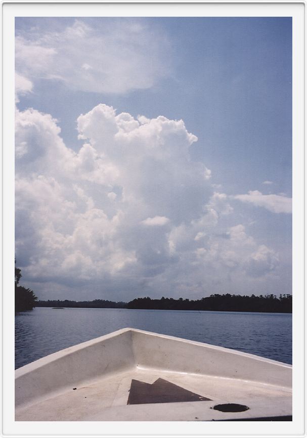 Boat tour, Bentota