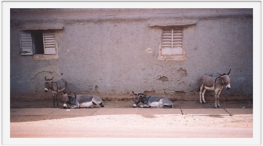 Mopti, Mali