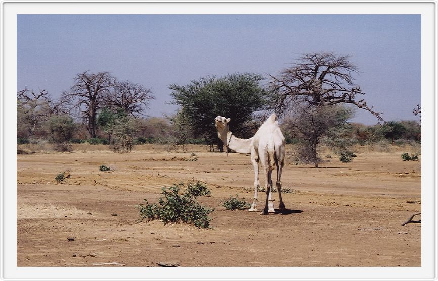 Burkina Mali border