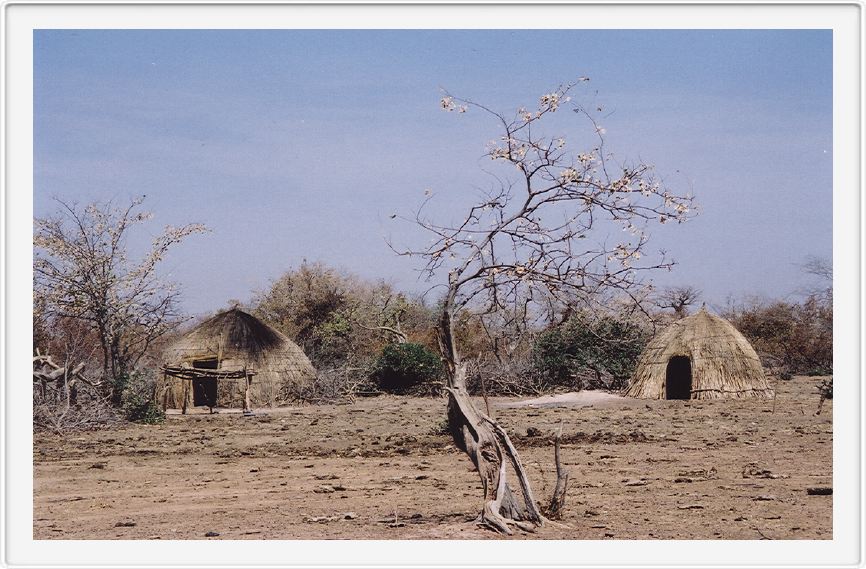 Fulani huts