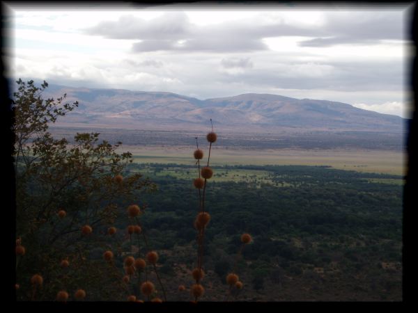 View from Lake Manyara Hotel