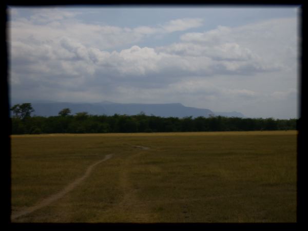 Tracks to Lake Manyara