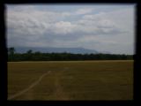 Tracks to Lake Manyara