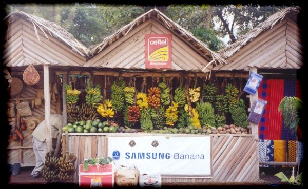 Roadside banana seller