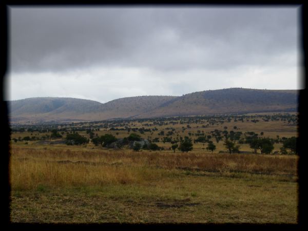 Farewell Serengeti